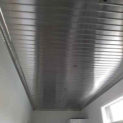 Apm Ridge Panel Ceiling 2 Opt